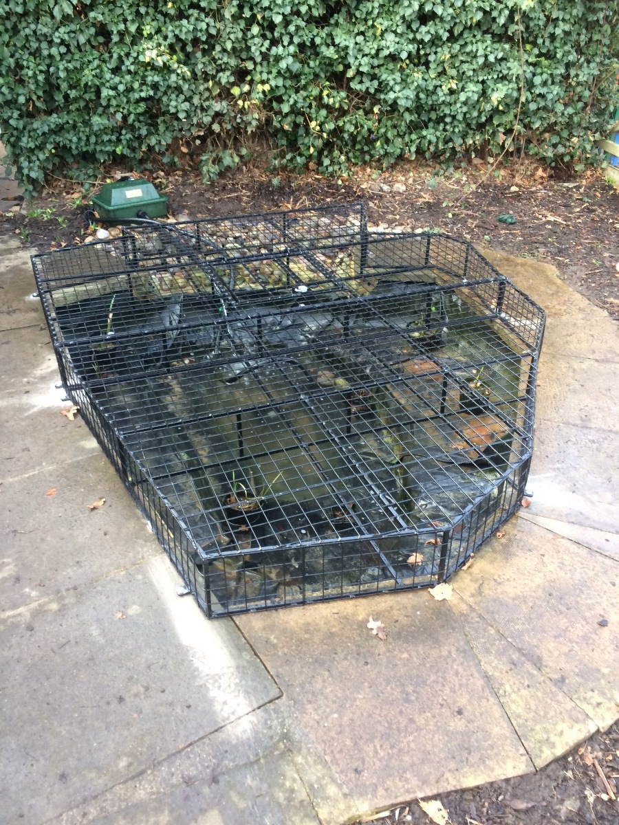 Gardener: Image 4